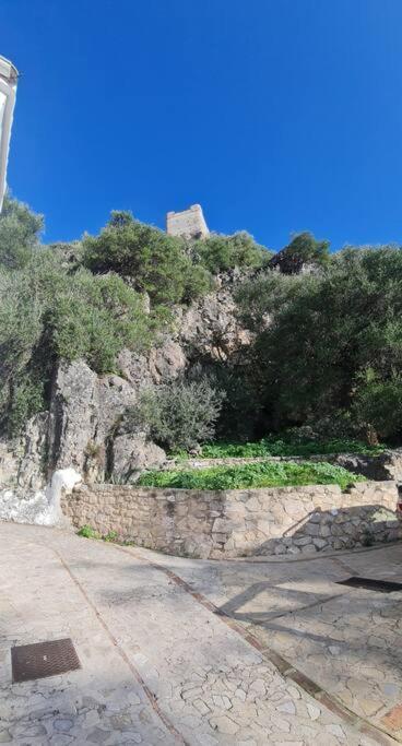 Entre Vistas Konuk evi Zahara De La Sierra Dış mekan fotoğraf